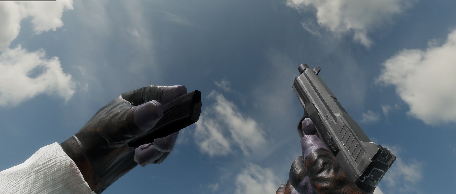 FPS arms and gun against a sky